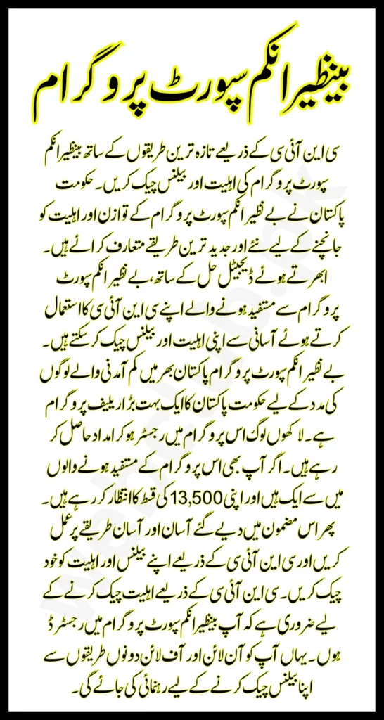 Benazir Income Support Programme Latest Methods To Check Eligibility And Balance Via CNIC