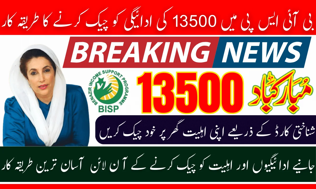 Understanding The 8171 Check Online System In 2025: Checking Eligibility For 13500