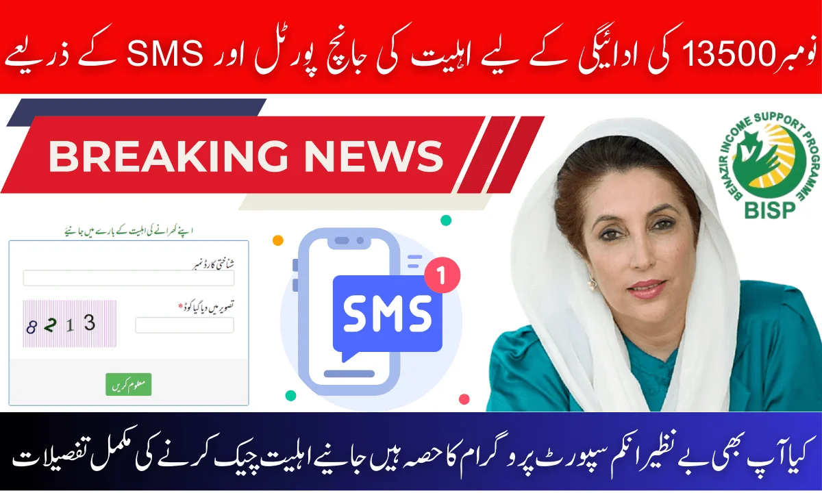 BISP 8171 Eligibility Check Via Portal & SMS For November 13500 Payment