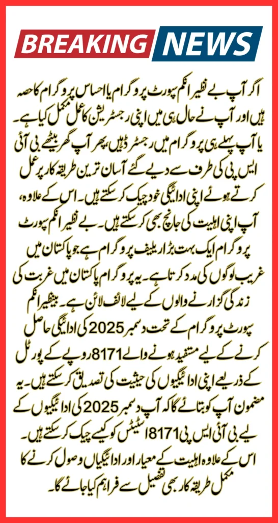 BISP 8171 Status 2025 Check Online For December Installment