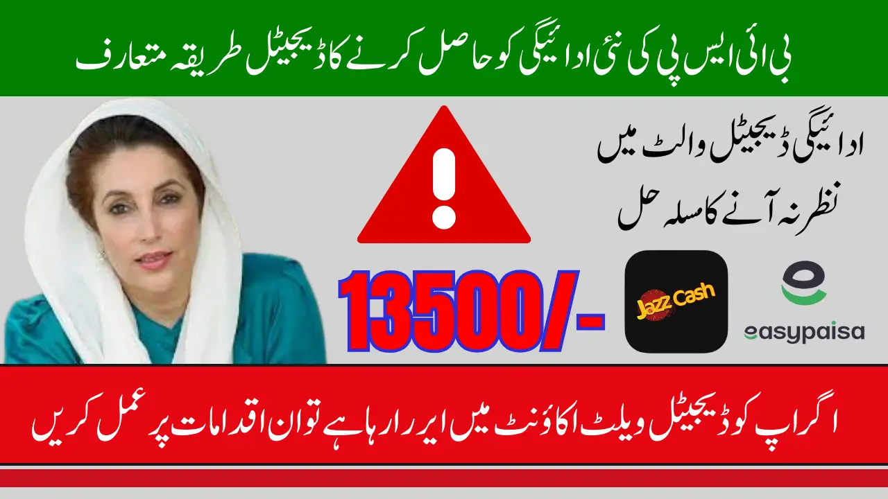 8171 Digital Wallet Error 2025 – Why Your Payment Isn’t Showing & How to Fix It