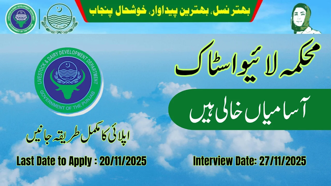 Contingent Paid Staff Jobs 2025 – Punjab Government New Vacancies