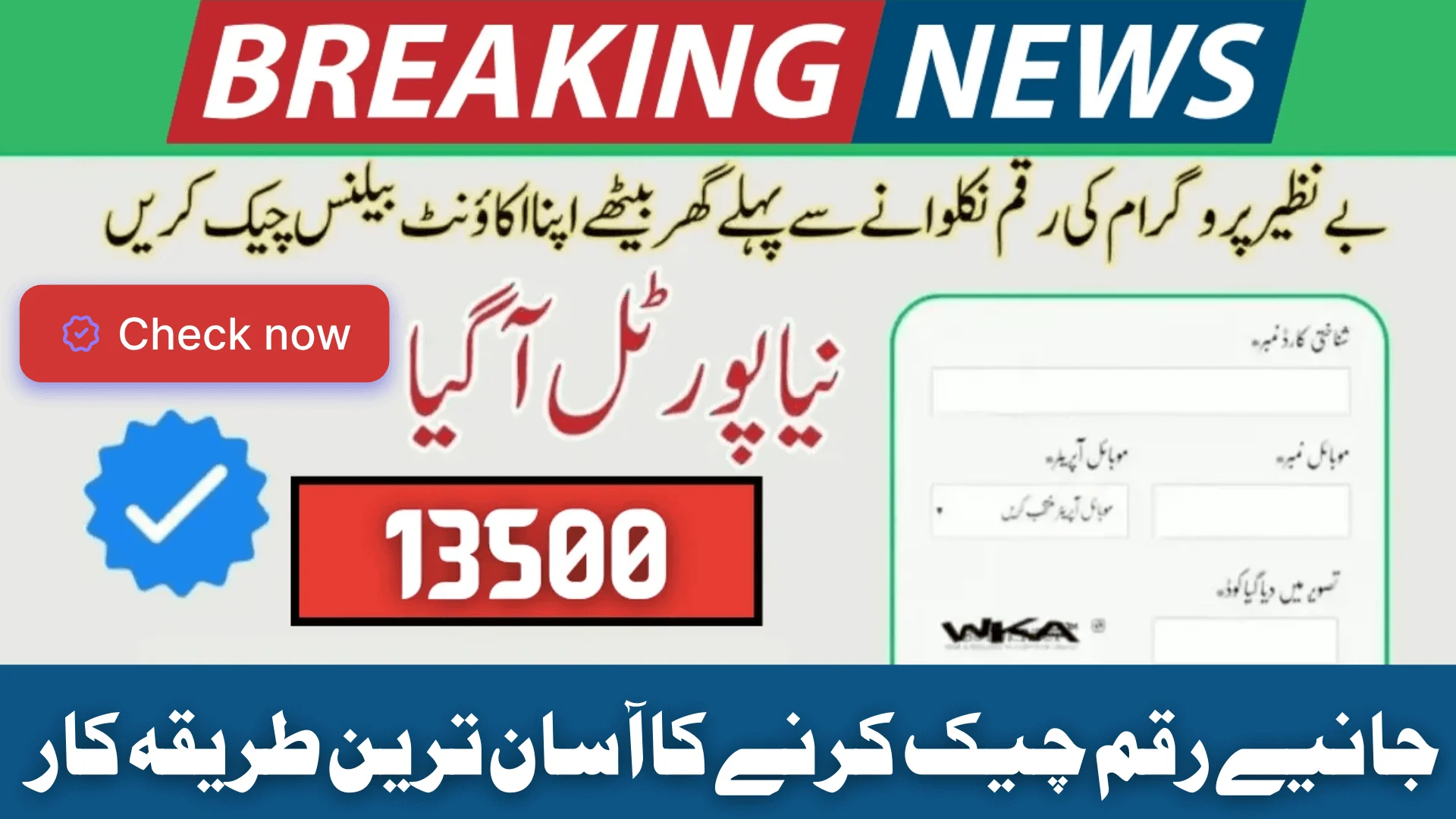 Check BISP Payment Through 8171 SMS & Web Portal