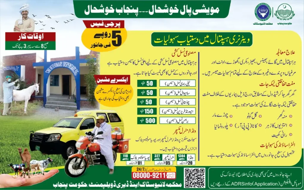 CM Punjab Livestock Card Phase 3 Registration 2026 Open & Complete Application Process